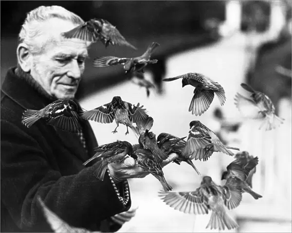 Charles Handley charms birds out of trees. He simply stands there