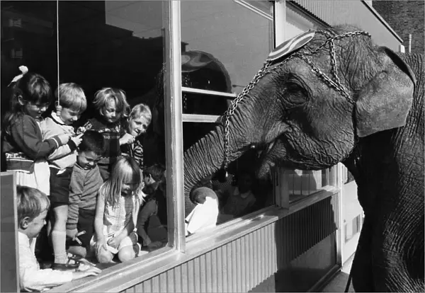 The delighted children watch as Guilda the elephant steals exam papers through their