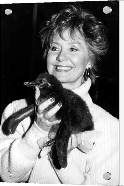 Lulu with her adopted penguin who lives at London Zoo. November 27th 1985
