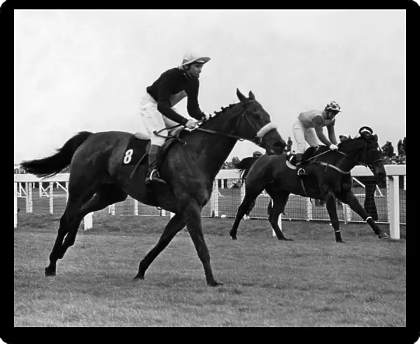Grand National, Aintree, at the post. Its a close finish as Red Rum (Left