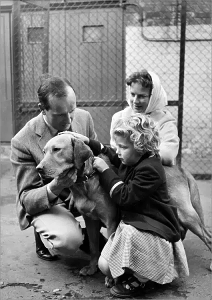 A small girl is reunited with her lost dog at the RSPCA kennels. June 1960 M4456