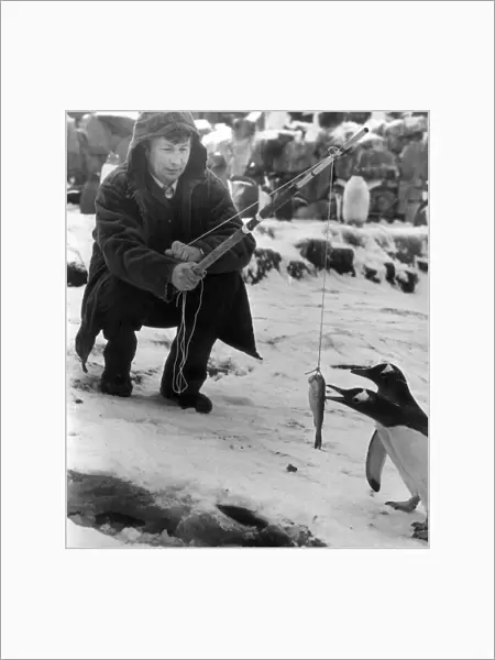 Ian Lonnon, head keeper at Edinburgh Zoo, catches his tea Eskimo style December 1981