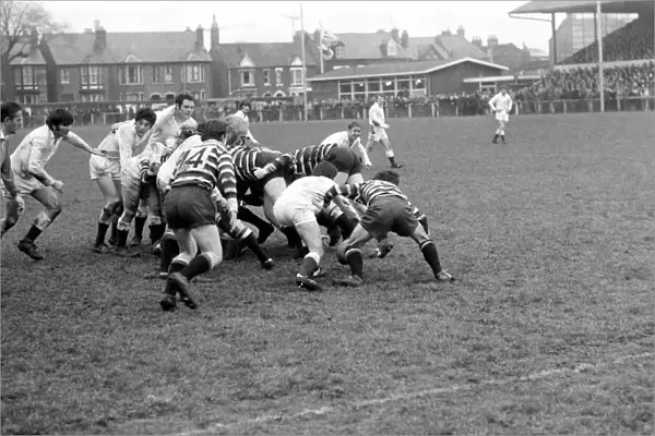 Gloucester v Somerset Rugby Union. January 1972. Somerset forwards attack the Gloucester