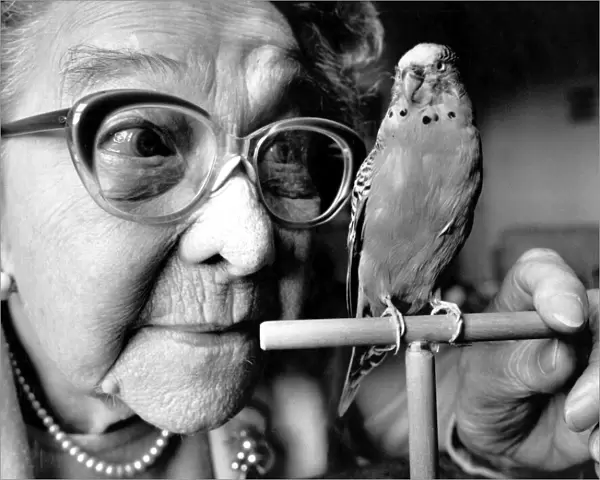 Stuffed budgie Sparkie Williams with his former owner Mrs Mattie Williams