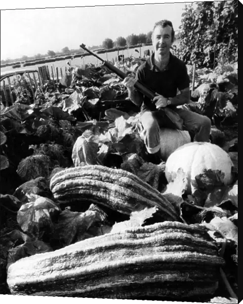 Beady Eyed David Payne sits astride one of his marrows, on the lookout