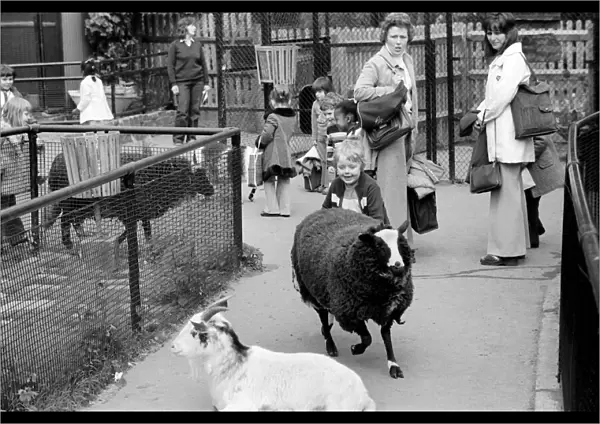The farmyard section at Crystal Palace childrenOs Zoo. May 1975