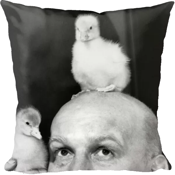 Anything for a gaggle. Screenwriter Brian Glover has geese on the brain