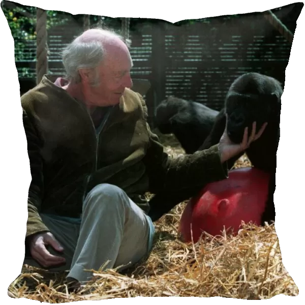 John Aspinall Zoo Owner December 1997 In the Gorilla cage of Howletts Zoo were zoo