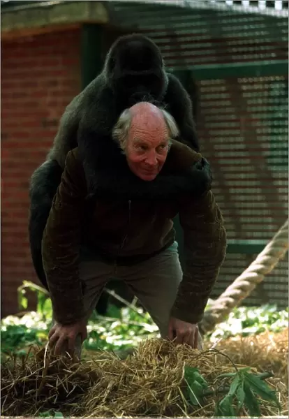John Aspinall with a gorilla at Howletts Zoo December 1997