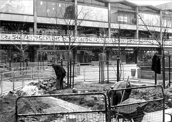 Trees being planted in the Lower Precinct, Coventry city centre. 7th February 1970