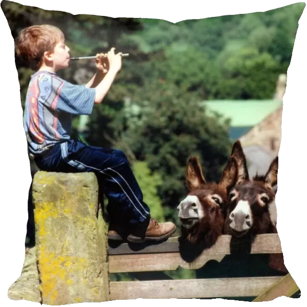 Oliver Jackson, 11, from Hexham plays the penny whistle to the animals in June 1998