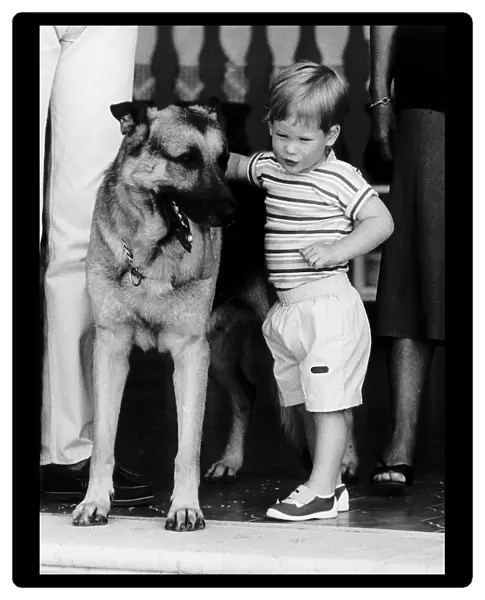 Prince Harry befriends the family dog Arkie. Rest of this picture set