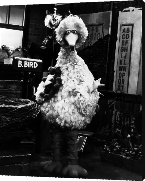 Tv Programme Sesame street with big bird