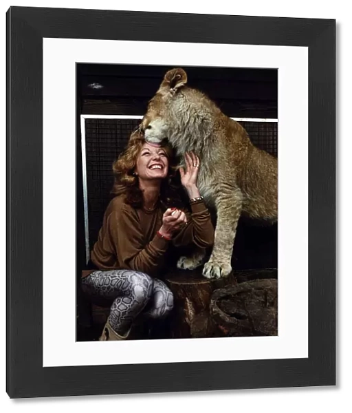Rula Lenska actress singer getting licked by a lion. March 1989