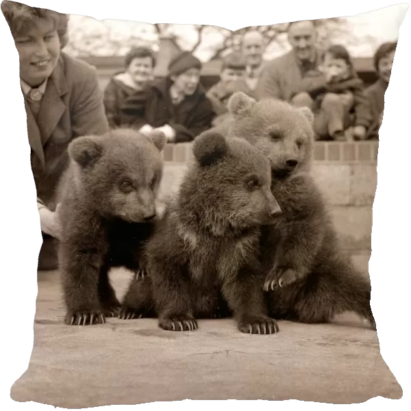 Animals - Bear cubs at Whipsnade Zoo snap crackle pop March 1959