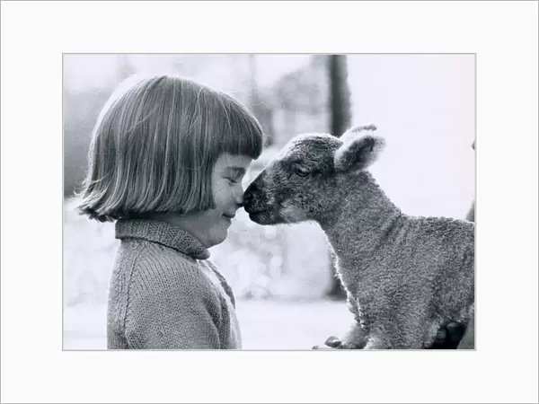 Farmers daughter Jane Hitchcock, 6, comes face to face with a new born lamb on her father