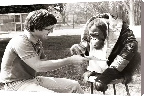 A chimpanzee wearing a mans jacket and clothes reading a paper with a man