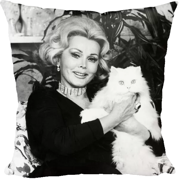 Zsa Zsa Gabor Actress sitting holding a white persian pussy cat dbase msi