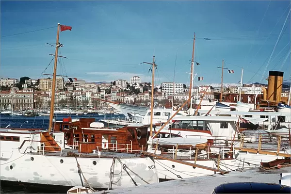 Yachts in the marina at Cannes French Riviera