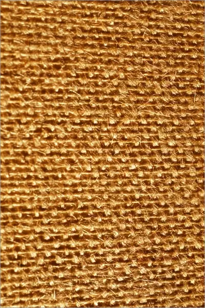 Fabric Texture May 1976