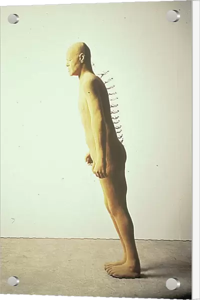 Zadok Ben Davids Walking Back sculpture part of 'The Shape of the Century'