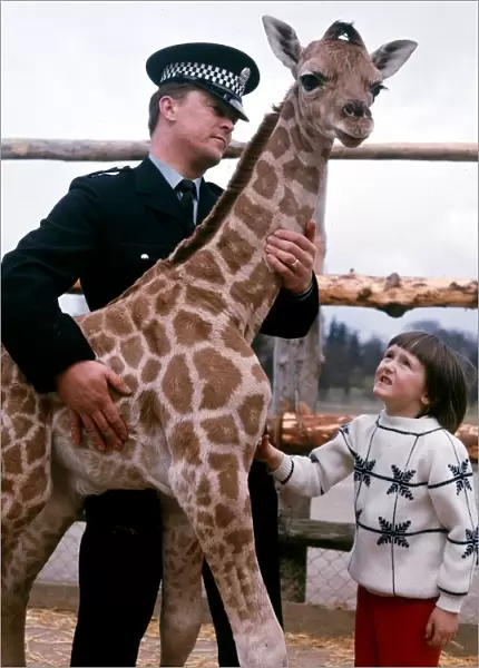 P. C. Jack McGregor with his daughter Catriona and a Baby Giraffe at Blair Drummond Safari