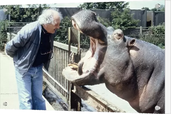 Zoo vet David Taylor checks the teeth of hippo Ben at Chessington Zoo May 1983