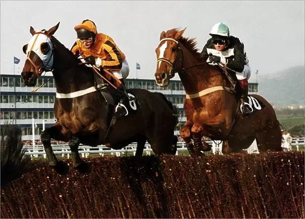 Nortons Coin goes head to head with Garrison Savannah in the 1991 Cheltenham Gold Cup