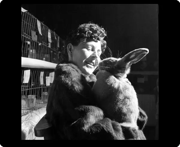Edna Early wears a blue beveran fur coat and holds a prize winning Blue Bevaran rabbit
