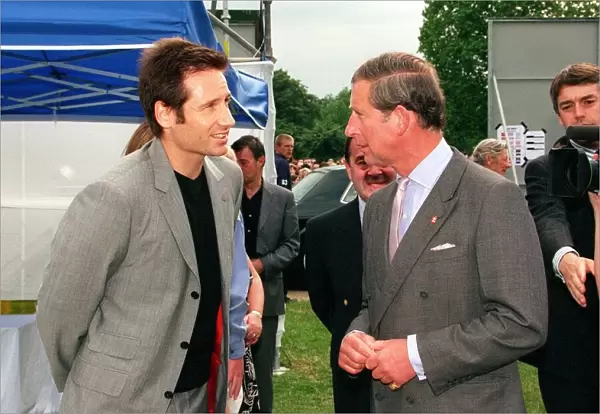 Pricne Charles meets David Duchovny at the Party in the Park for the Prince