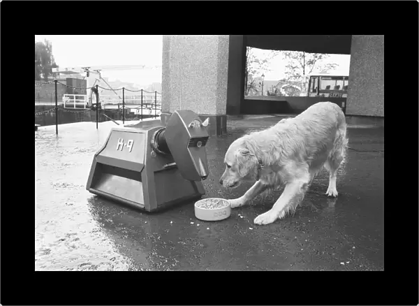 K9, the robot dog in the BBC TV series Dr Who, seen here meeting Robert the Spillers dog
