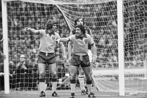 01  /  3  /  1975 Aston Villa 1-0 Norwich City 1975 League Cup Final