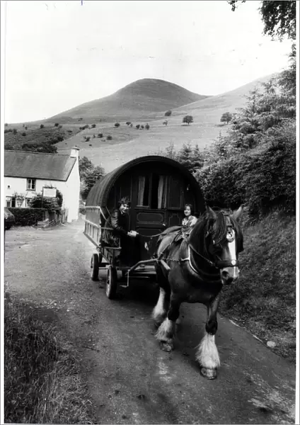Caravan (|Horse drawn) Basil plods smartly off in the direction of Bwlch