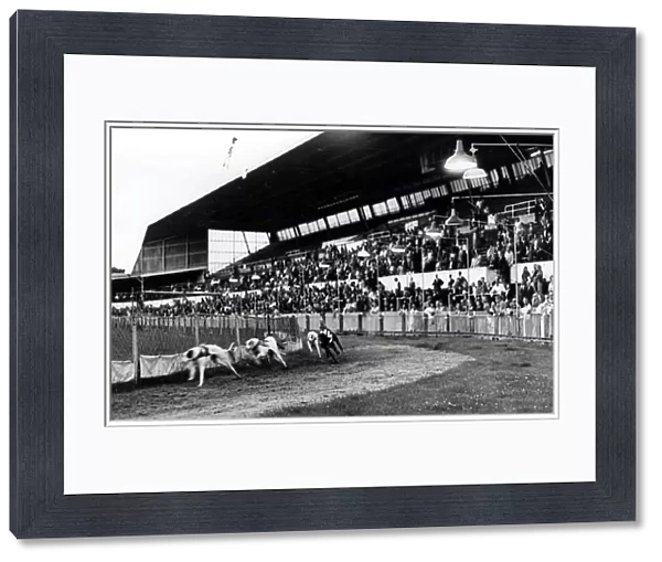 Greyhound racing picture shows: The scene at Cardiff Arms Park during the last race at