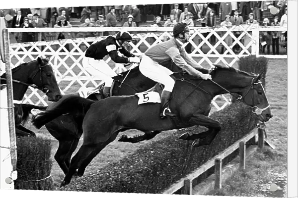 Prince Charles riding Allibar at Ludlow races. Circa January 1981