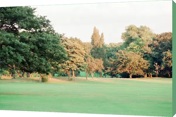 Edge of Wood, Sefton Park, south Liverpool, 1st September 1994