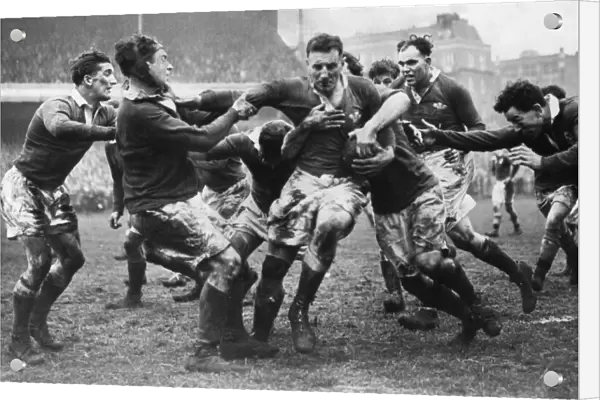 John Gwilliam, the Welsh captain, is well and truly held by the Irish forwards