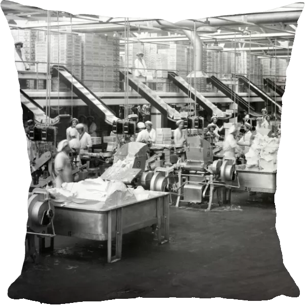 Levers margarine factory, a view of the vast packing section. 1st June 1932