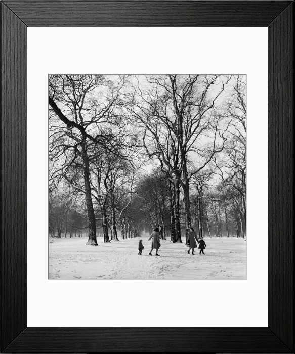 Framed Print : A Snowy Winter Scene in Hyde Park, London Print 1953 Framed Print : A Snowy Winter Scene in Hyde Park, London Print 1953