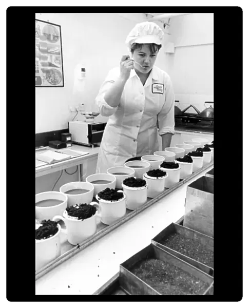 Quality controller Sally Nicholas checks the tea for taste at the Tetley Tea factory