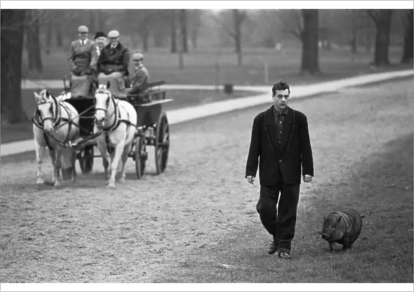 Not an everyday sight. A man walks his pig in Hyde Park as a horse