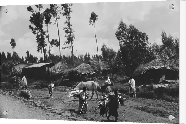 Abyssinian War September 1935 Houses close to the Royal Palace in Addis Ababa