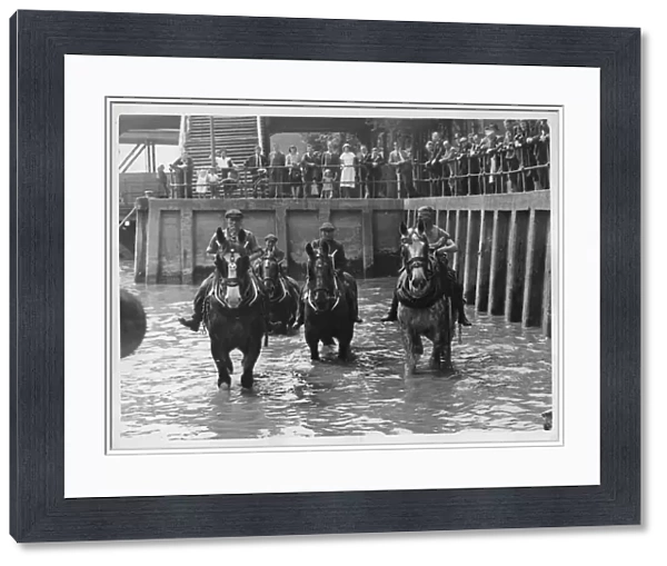 The horse wash at at Victoria Pier, Hull 15th June 1948