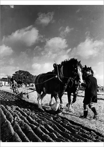 West Hallam Ploughing competition 15th October 1981