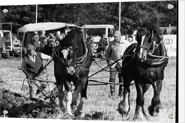 Brailsford ploughing match 15th October 1981