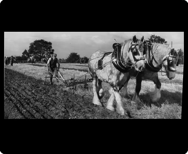 Brailsford ploughing match 15th October 1963