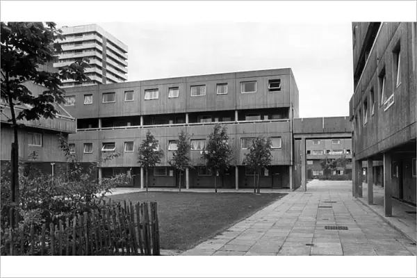 Spon End flats, in surroundings softened by lawns and trees. 5th June 1974