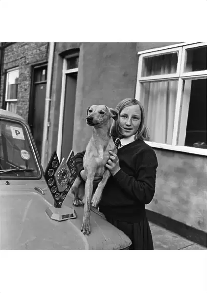 13-year-old girl owns champion Whippet, Guisborough. 1971