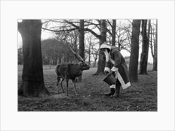 Santa Claus and 'reindeer'. 1974