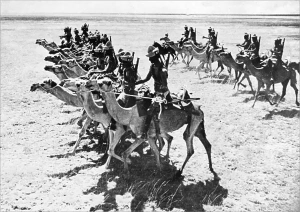 The British Somaliland Camel Corps on Patrol. The regiment is The Kings African
